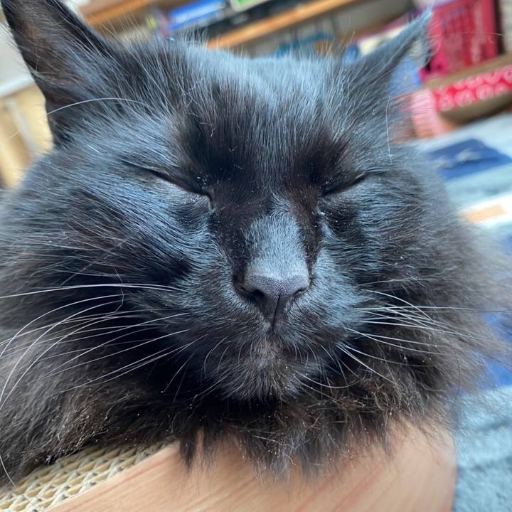 1d291709 f637 4f70 9526 e41d211ccb60 1581992736530