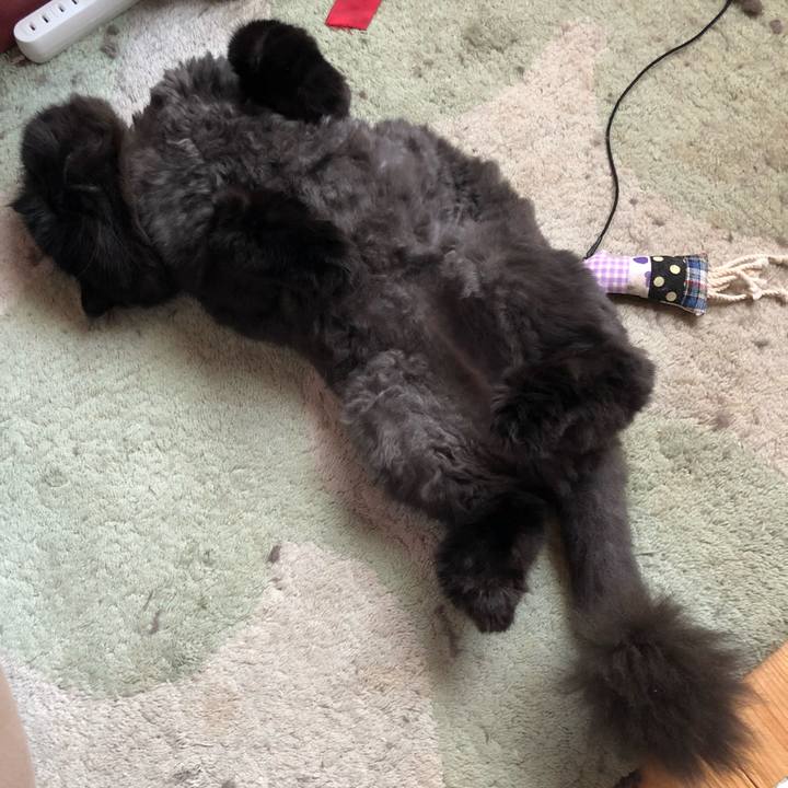 1d292e27 5eb3 4b75 8547 1a05adc78594 1627189826079