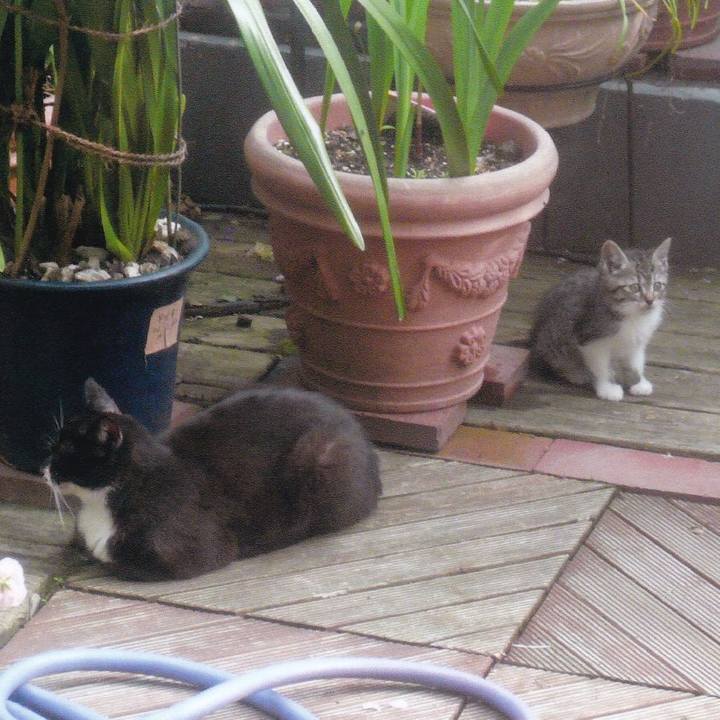 1d296987 8251 4794 8c72 da33099b25aa 1763780915919