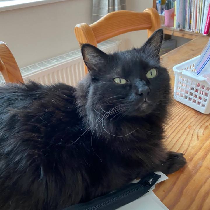 1d29b35c a4d8 4fdf af93 9da790dd5c94 1582895268252