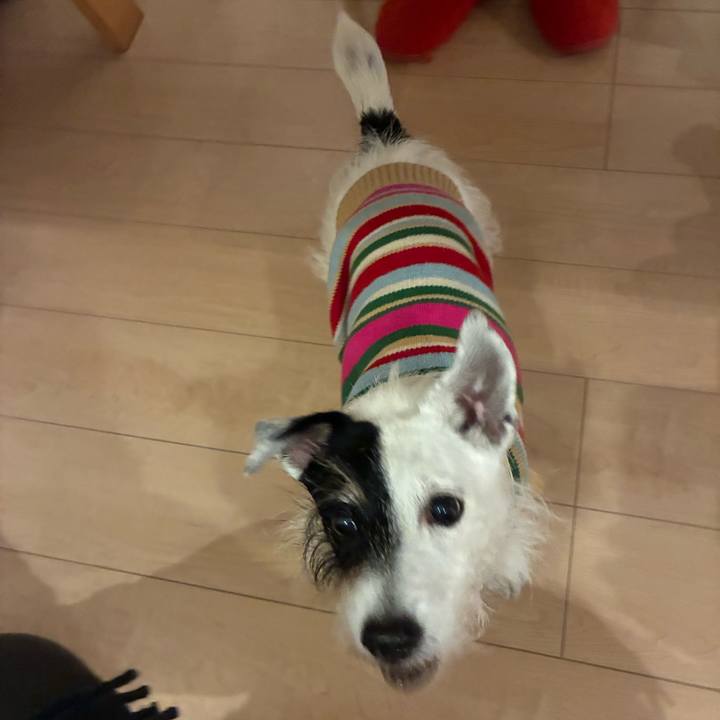 1d29b4b9 86d9 4bf5 bf1f 3b9aa2d04015 1761658777246