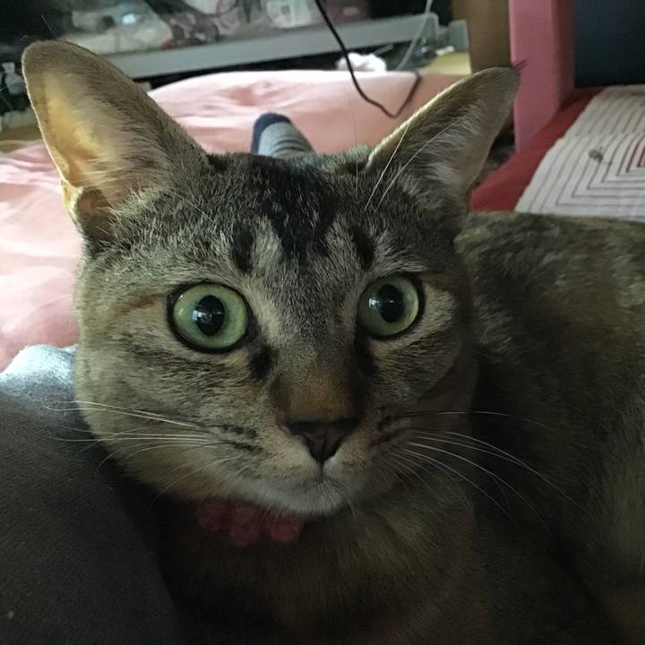 1d29be0c 4c19 4844 8772 9148378d8c6e 1592280731087