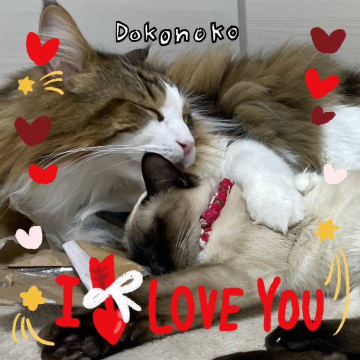 1d29fee6 49ac 4d4f 9114 b34d02b7114e 1707126873105