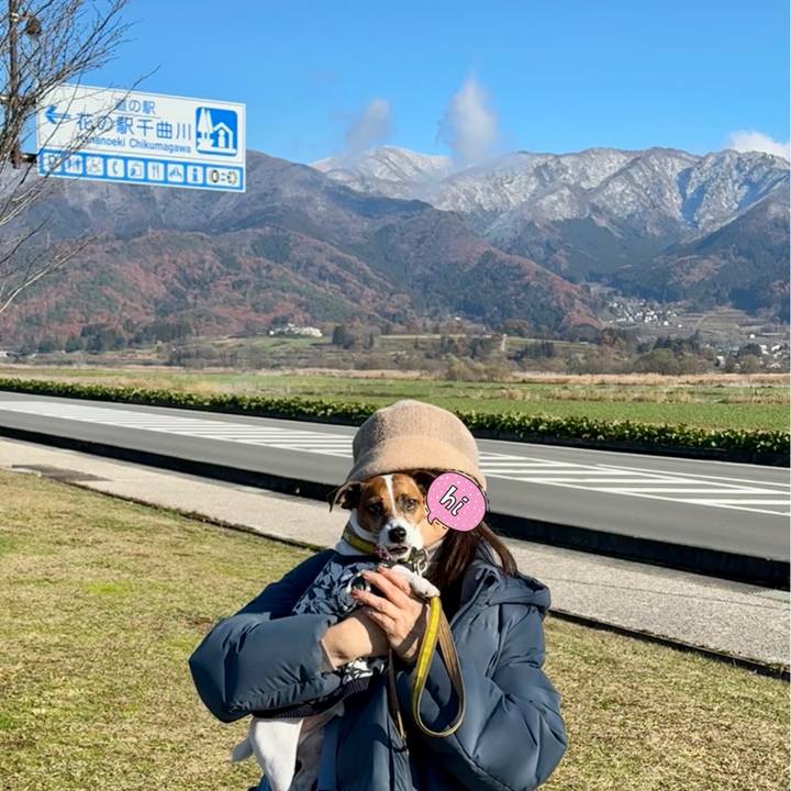 1d2a008e e3c2 45fe 81ae edb25c8b55a3 1701762271197