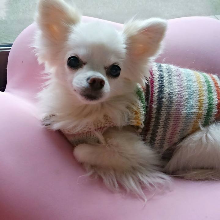 1d2a0a55 24bc 4a82 af46 189e6984966b 1517120706260