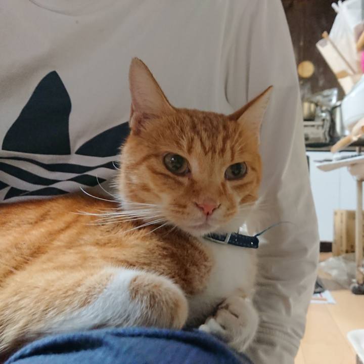 1d2a25d4 a519 4bf4 8df8 c98c8ff232f1 1600598697361