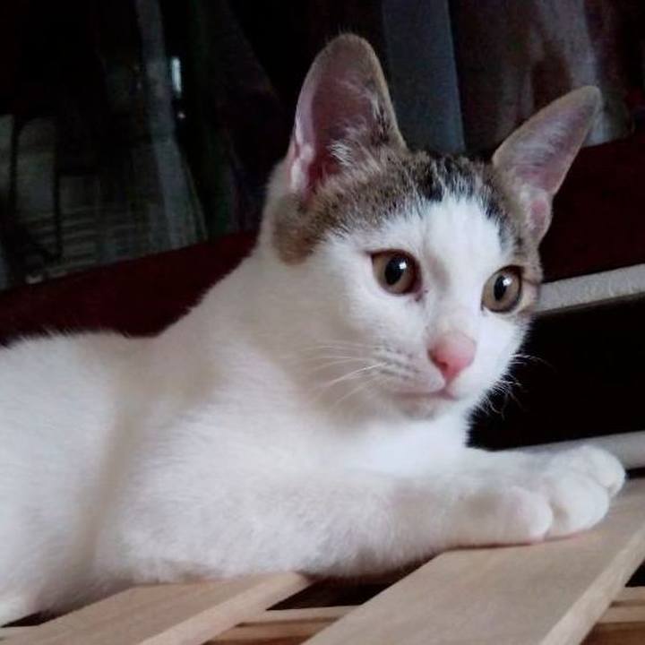 1d2a2ba6 ffdd 4474 bdb9 f2fac6b9e553 1640648449222