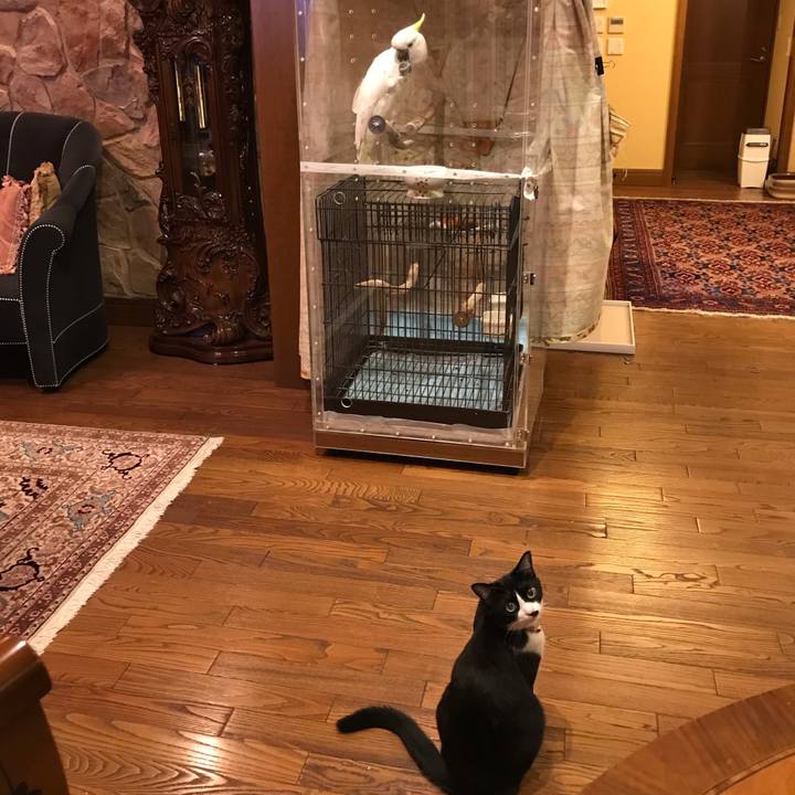 1d2a417c c2d9 4551 bd98 887d31243a42 1538909634357