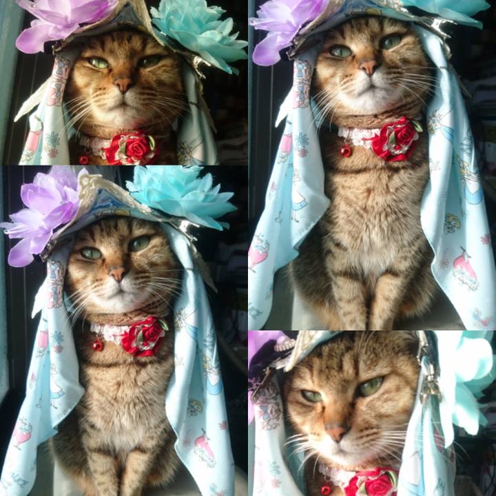 1d2a63f5 2788 4d60 850c 7fc0c275444b 1766182611940