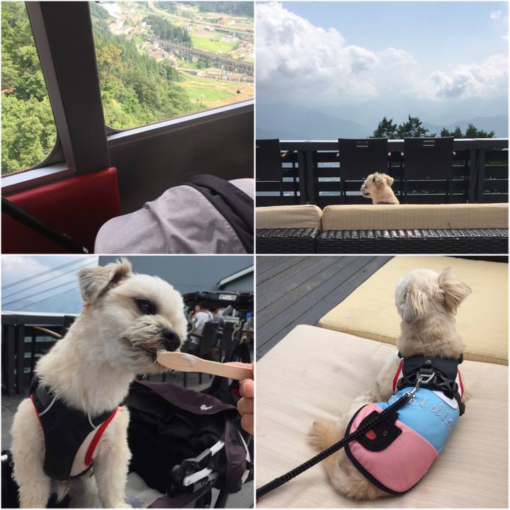 1d2a6daf b8cc 4dd7 beab bdb8499d5a57 1566990294113