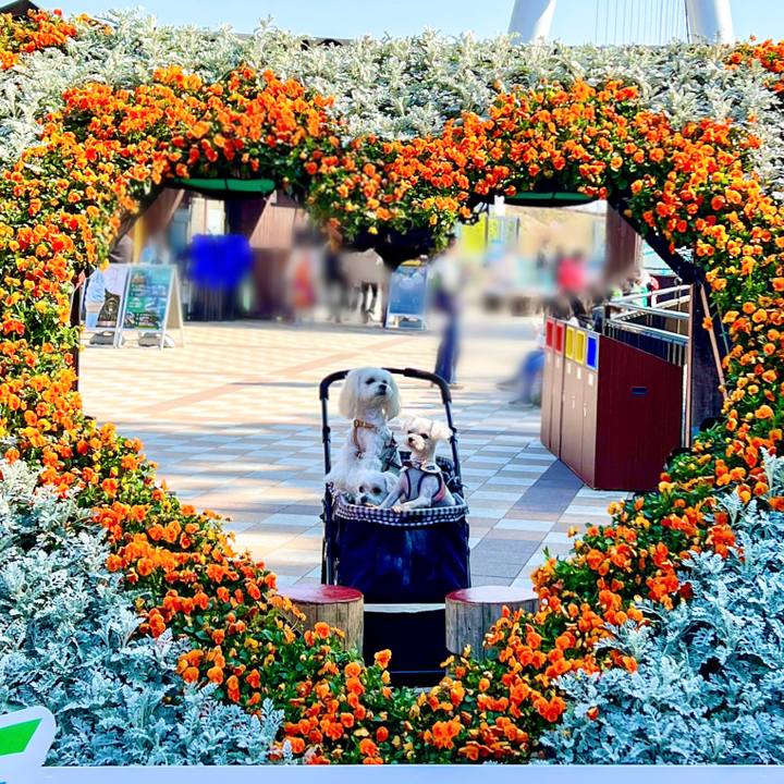 1d2aac3d f5cf 40c2 a18e c0b8c958a633 1680581207283