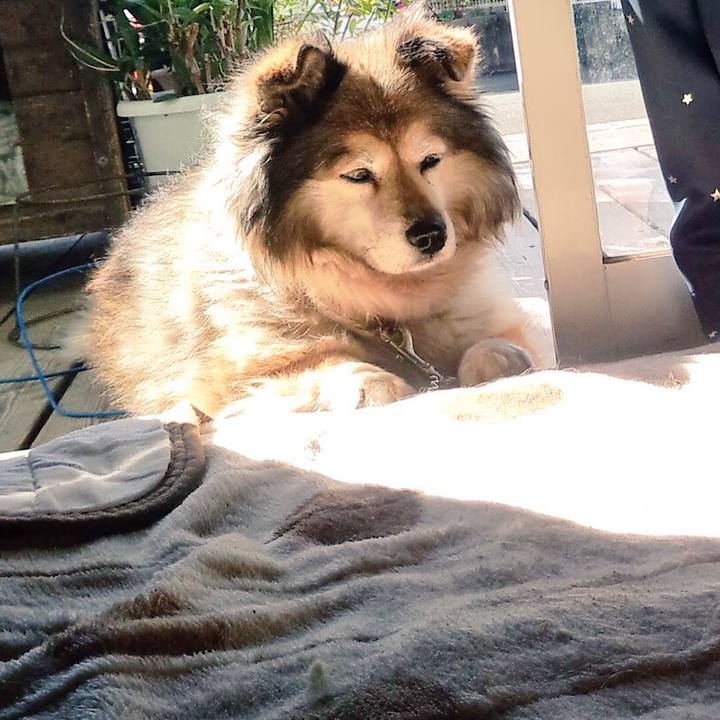 1d2aebcd 5c79 4574 a3f2 85f9dc41013c 1549925579340