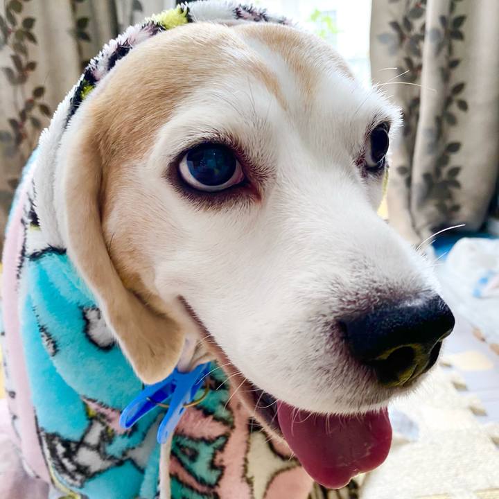 1d2af8d3 bf97 49ed bd67 0659472fdc08 1606027373987