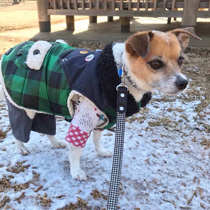 1d2b2d77 12db 4a36 82dc 90016bac0d75 1549074003882