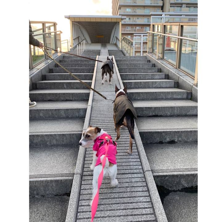 1d2b52f4 4a8b 4fb4 9660 8959e0dce958 1584265542410