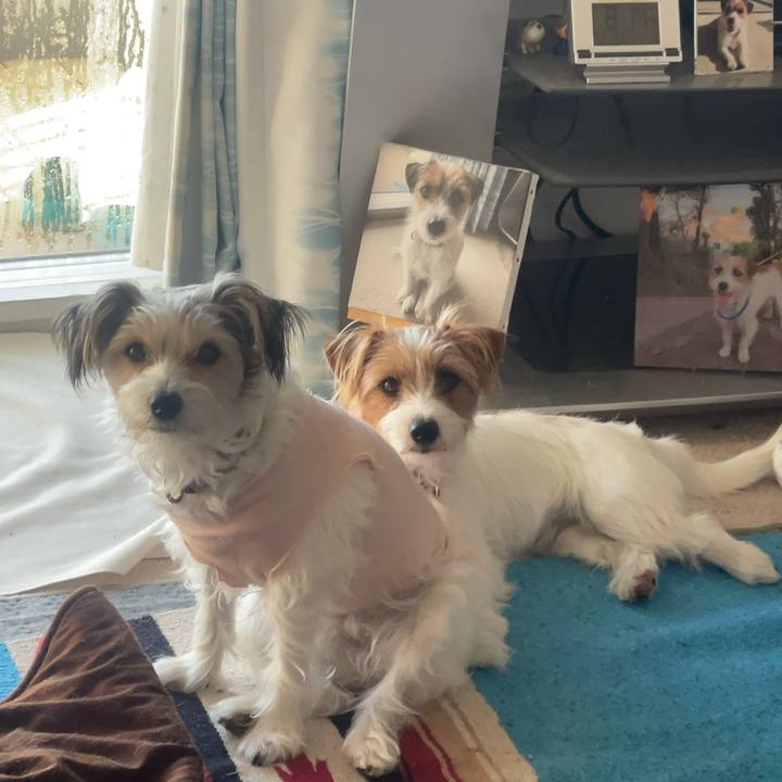 1d2b5dbc 2ac1 4a5f be9c fed239772927 1765971080007