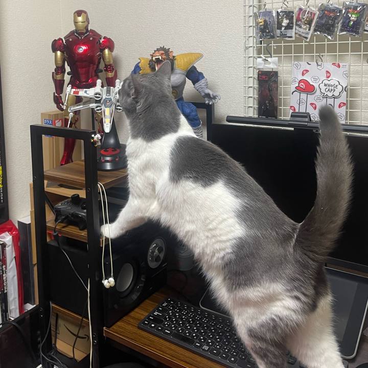 1d2b6285 a26e 49fe 988b a9f11ac55b70 1722588917353