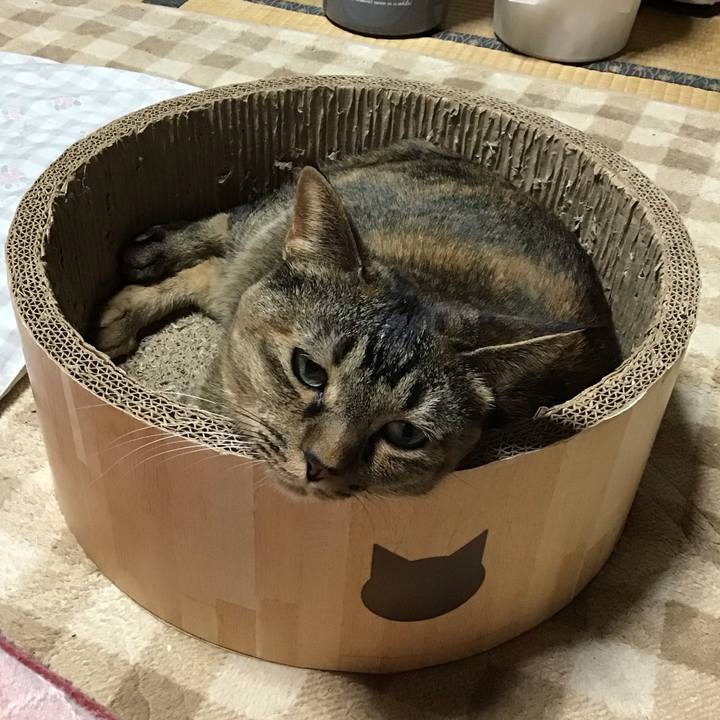 1d2b7782 ce3d 497e 98ca a9d8a1926c73 1731410519933