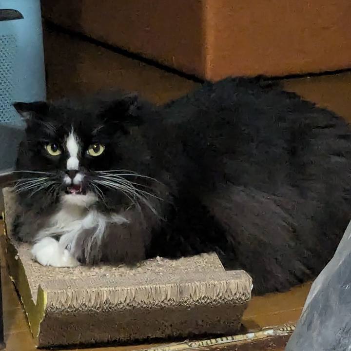 1d2bdf9f 38ac 4a1f a5e6 817d045323b0 1725814421204