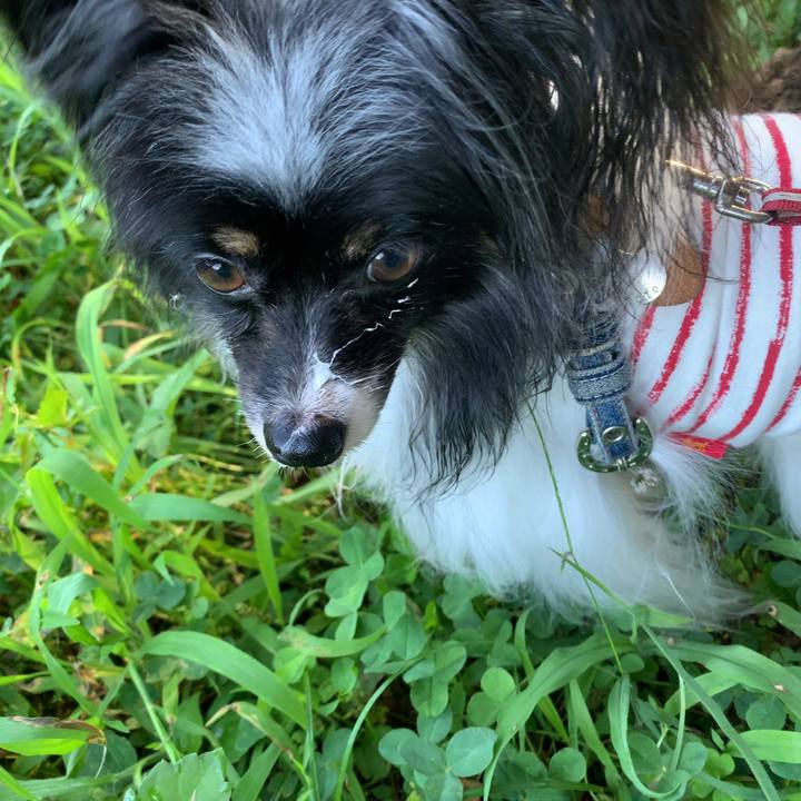 1d2c2b41 cbd5 42b8 8210 534dd28025ef 1626570355567