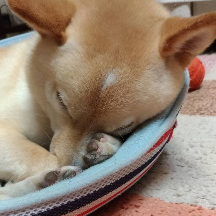 1d2c47ef 9692 45b0 a4c4 d056a5ac8a31 1559567321510