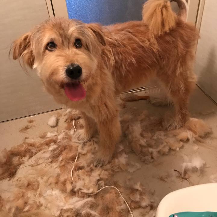 1d2c4978 5949 441b b078 f158dd96ecdc 1564119884929