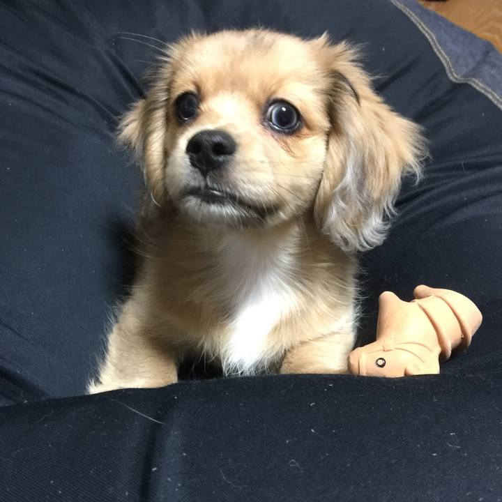 1d2c7228 2985 4cb2 92fa 7772c63df5c2 1647384690875