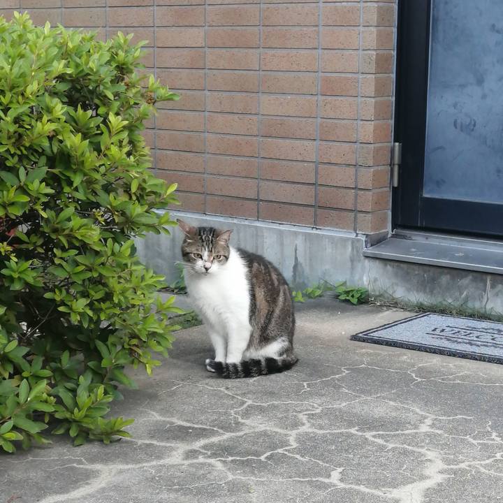 1d2c74f5 8de0 4909 b51f 4f71a877e441 1624222558735