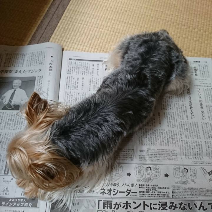 1d2cab7b fa9d 4c1f aeb4 ebfadc019bd0 1560641322413