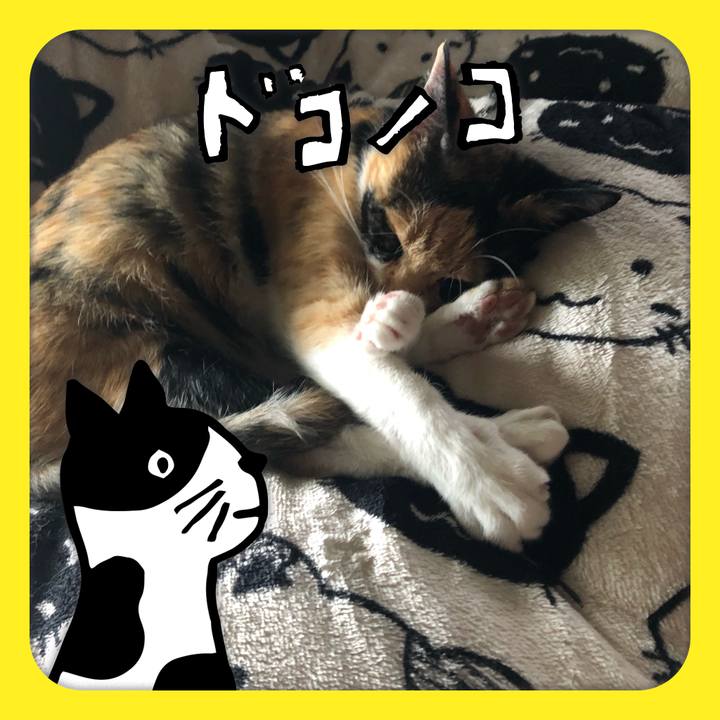 1d2cd426 dc35 4cc3 a476 2c0dab4471c2 1623548954060