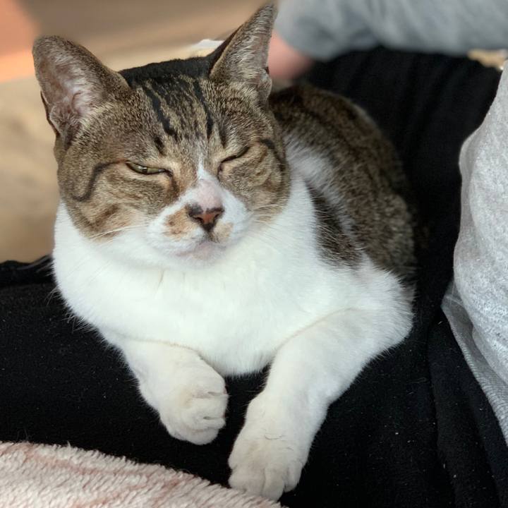 1d2cdc35 e341 4f88 a7f3 0a65517aa38f 1579309357783