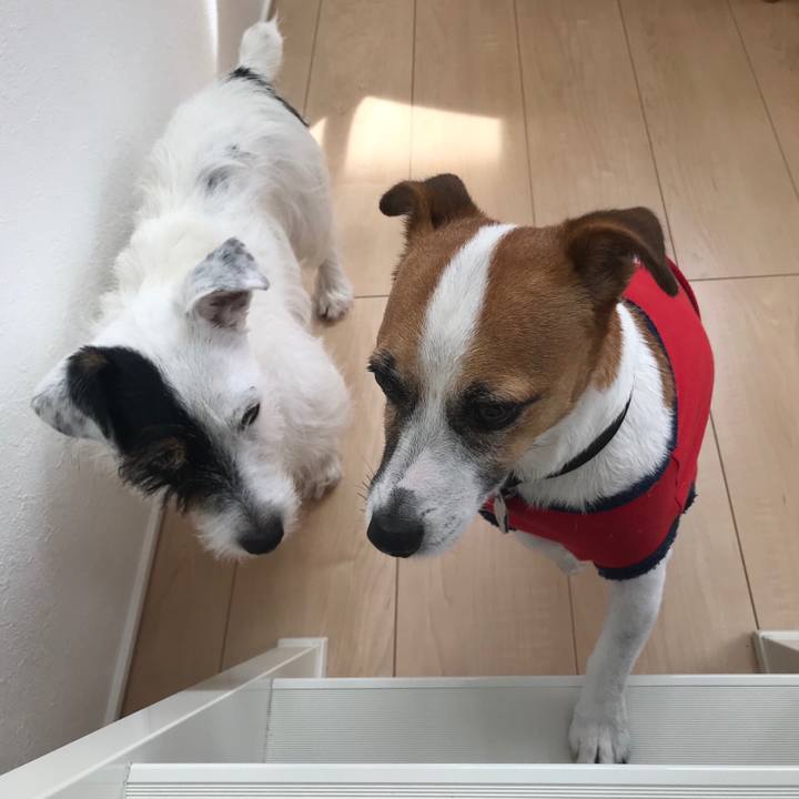 1d2ce6d0 8a24 4833 9984 fd05cf70b1c0 1535605057856