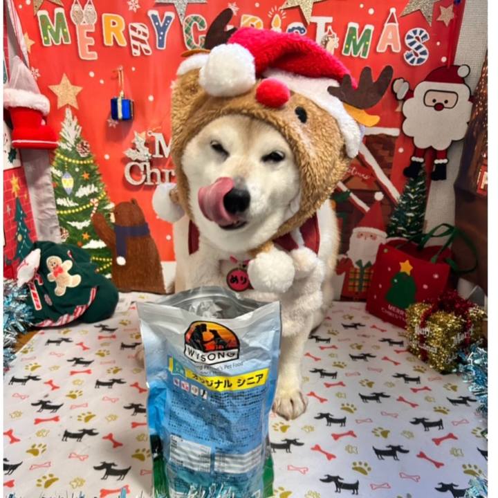 1d2cf793 1809 4ec1 a2de 47e324f9928b 1735027193717