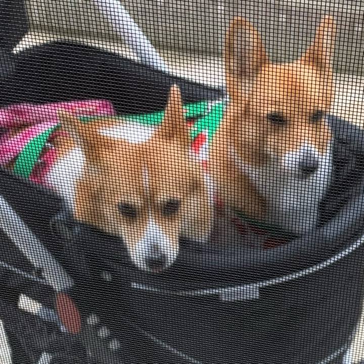 1d2d6671 c368 4e08 9576 cebeaca24828 1625016198652