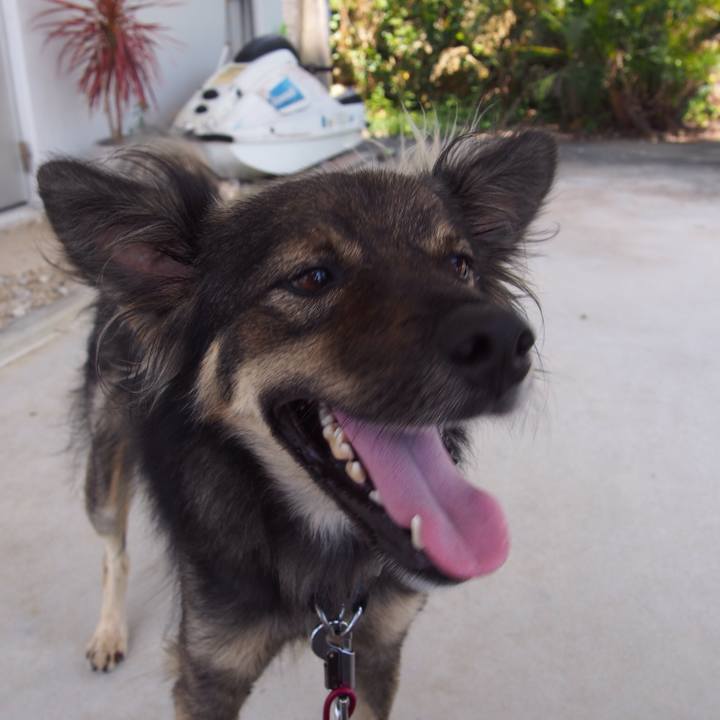 1d2dabb3 cd48 4346 b8a2 3a89f5ee24f3 1539007895915