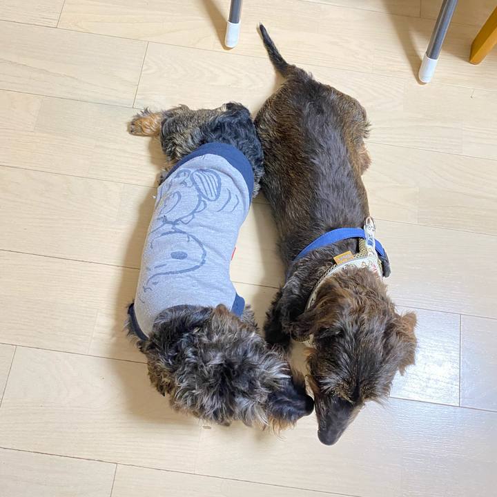 1d2de4e1 b216 446a a6cd b869df41c978 1624879481821