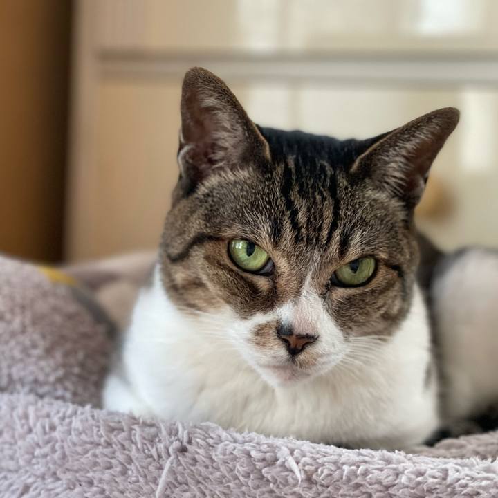 1d2deb69 04b8 46d7 a973 65f33bf3e46b 1646530917994