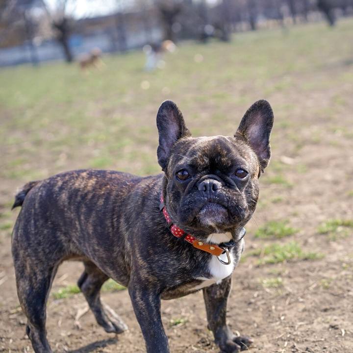 1d2e0c58 fe0b 43b9 b538 60ae434de1bd 1522472450988