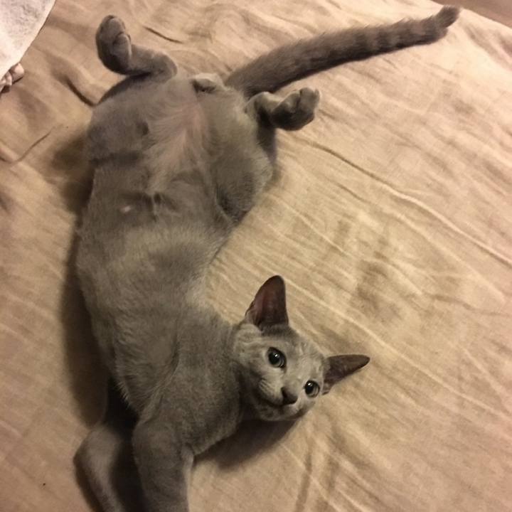 1d2e3c42 a086 4baf 91ca 051e45199796 1740549757931