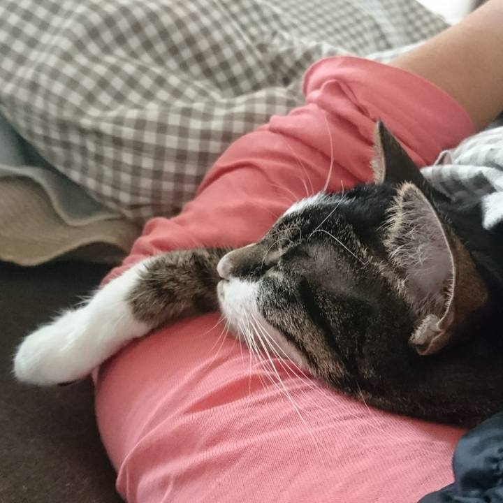 1d2e4d91 a0d6 44a6 8c53 b3366dc89c28 1512781423427