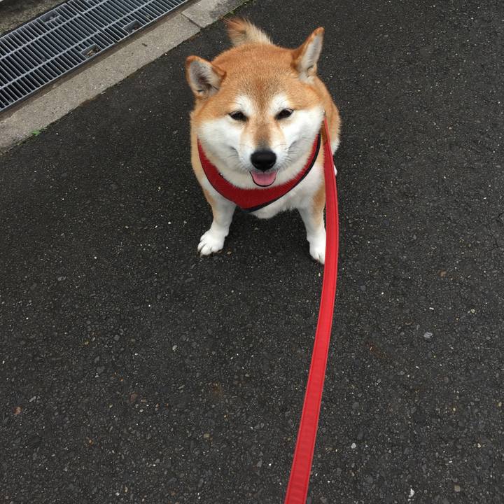 1d2e56e5 fb19 4382 a673 93819a037146 1603861491735