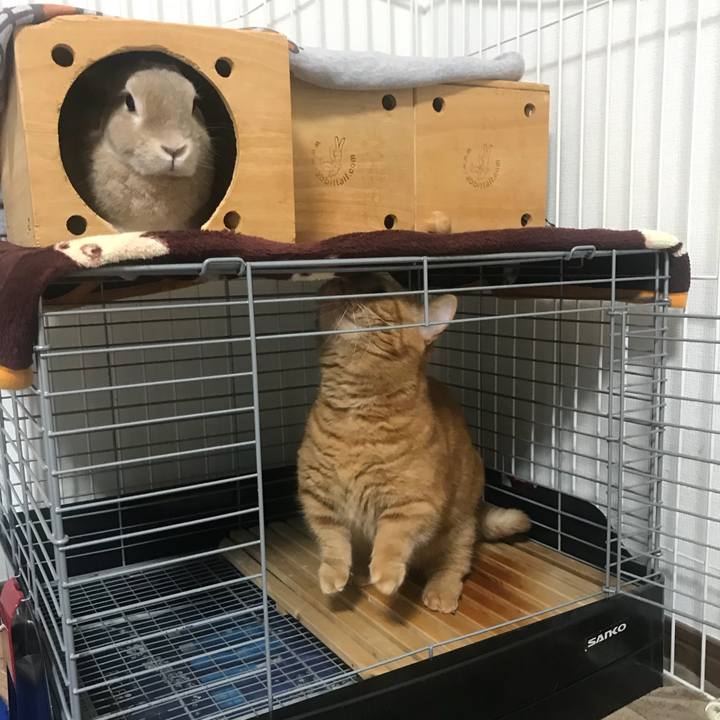 1d2e5794 0b32 4f24 b460 a2e09d78ac2b 1530526597163