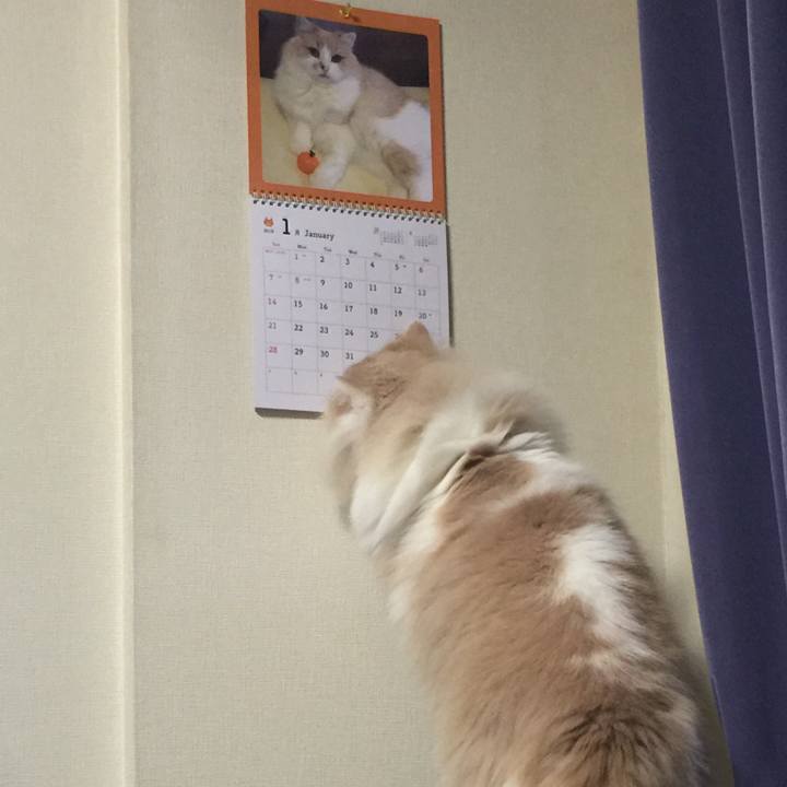 1d2e5c44 ab8c 4dab b976 5c6206c07a48 1517196300930