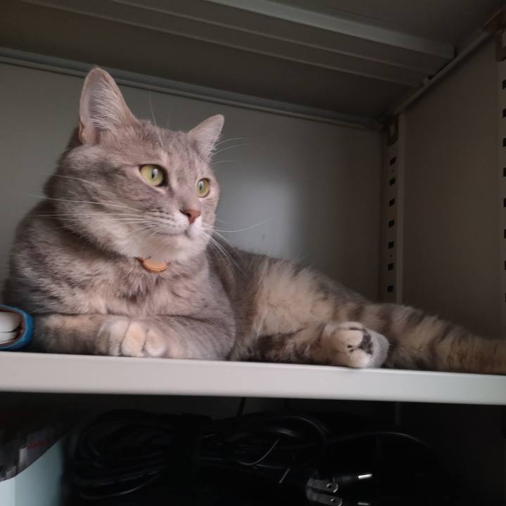 1d2e82ae aa2c 4a83 8c32 5919ec890d00 1569917047830