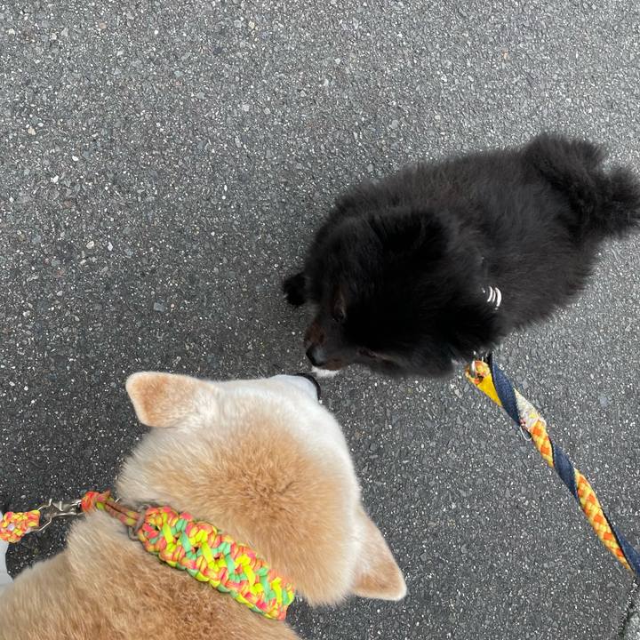 1d2e88e3 de0f 45cc b4e2 5e59ec8e2803 1647991431085