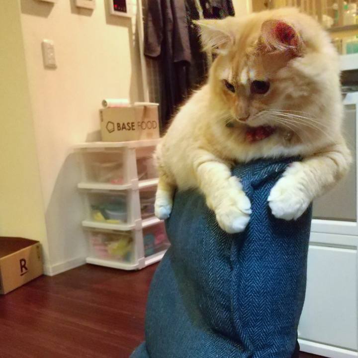 1d2e90a7 50e0 4540 914b 0b33f6b97e9a 1634473872591