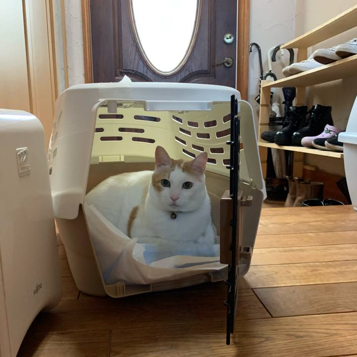 1d2e91c8 661f 43f5 b7bc 9e4bd26c0e1a 1571022369334