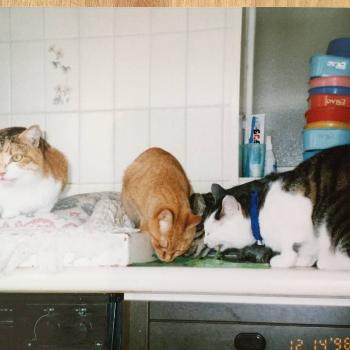 1d2effaf 82e8 4af2 b45a 17d899fa475f 1515321100179