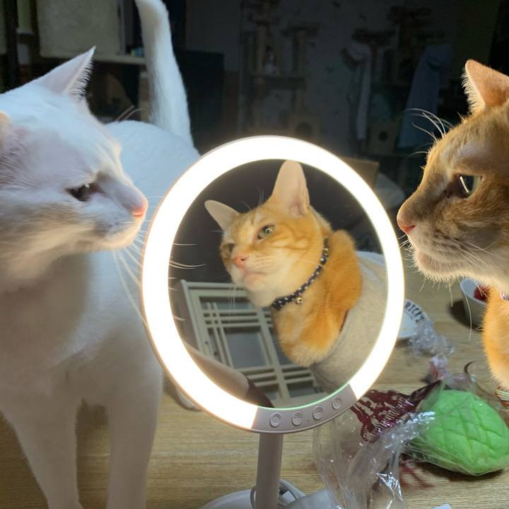 1d2f152e d65b 4feb 977c 05f2d4e30d68 1613391111309