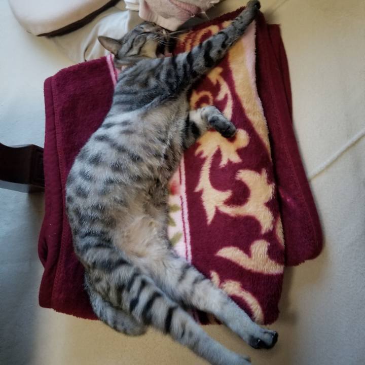 1d2f2014 6feb 46d9 91bd 70b4d1d3fffa 1684419743370